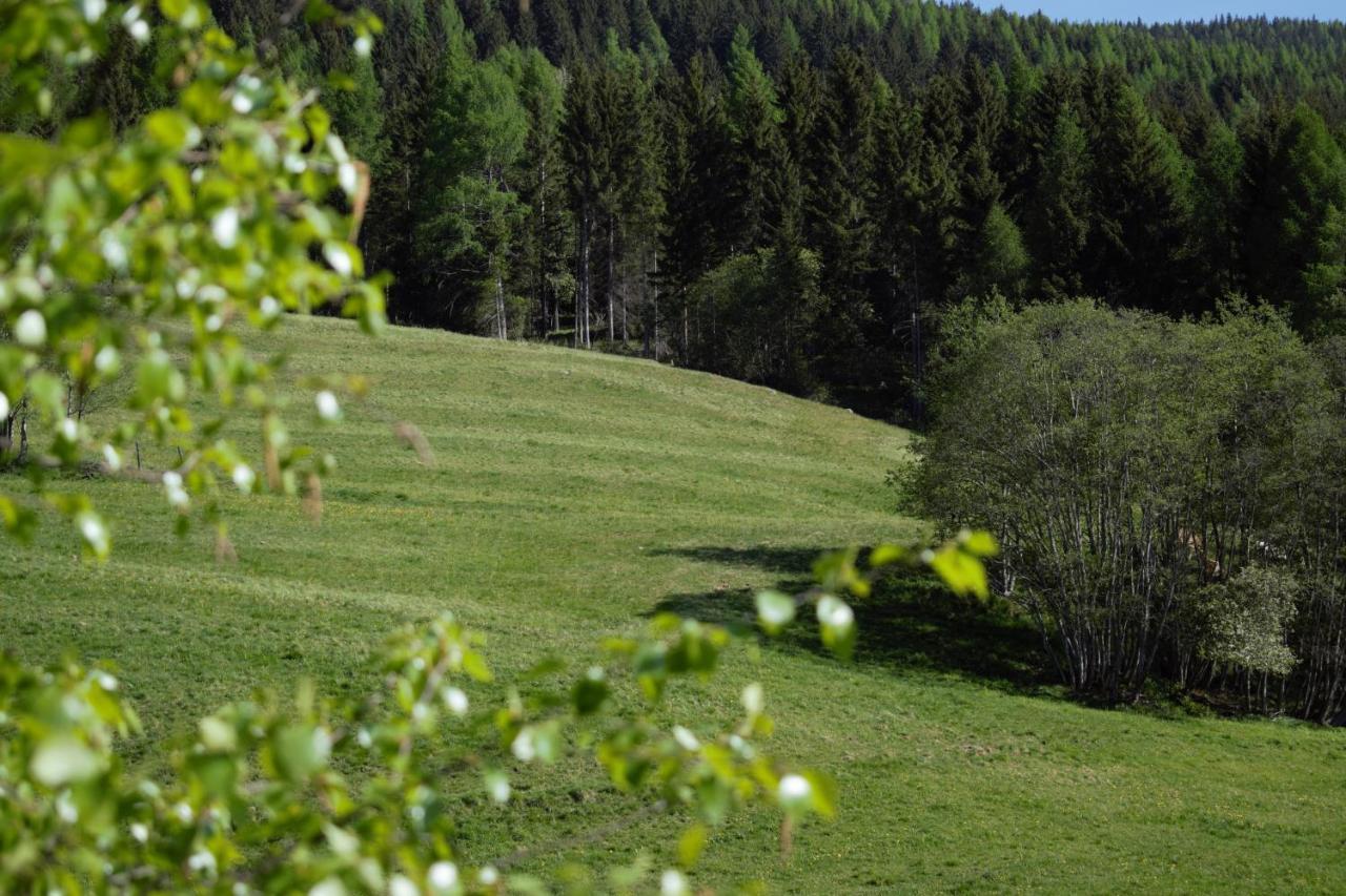 Landhaus Holzer Sankt Margarethen im Lungau Zewnętrze zdjęcie